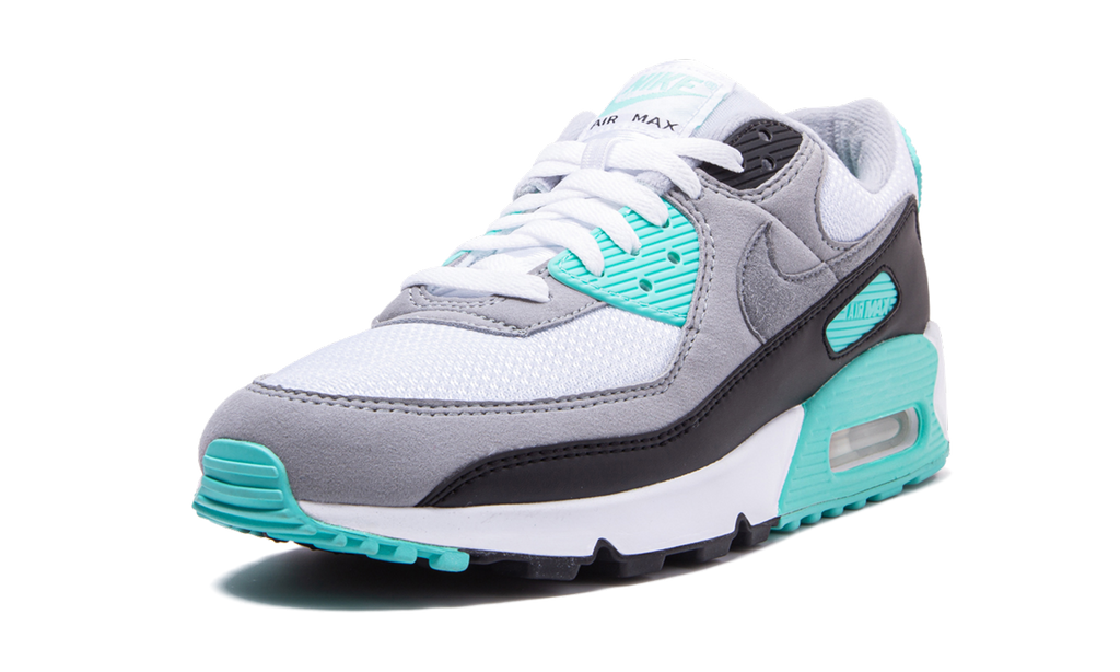 Air Max 90 "Turquoise" CD0881 100