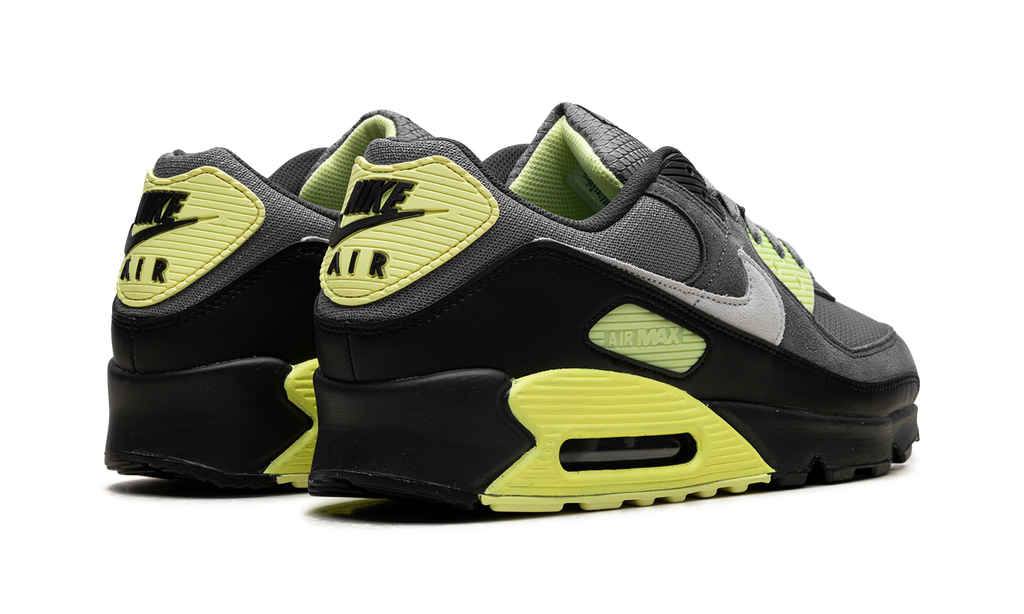 Air Max 90 "Smoke Grey Light Lemon Twist" DM0029 012
