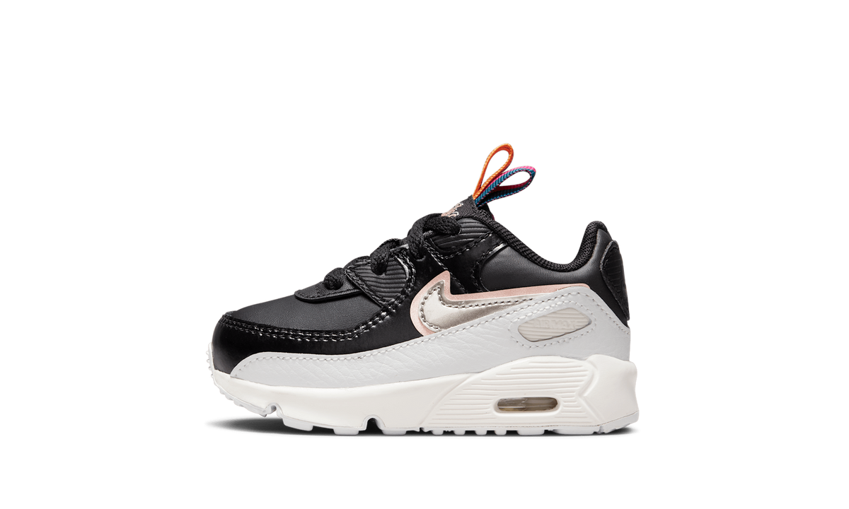 Air Max 90 Leather SE TD "Off Noir Metallic Pewter" DJ0416 001