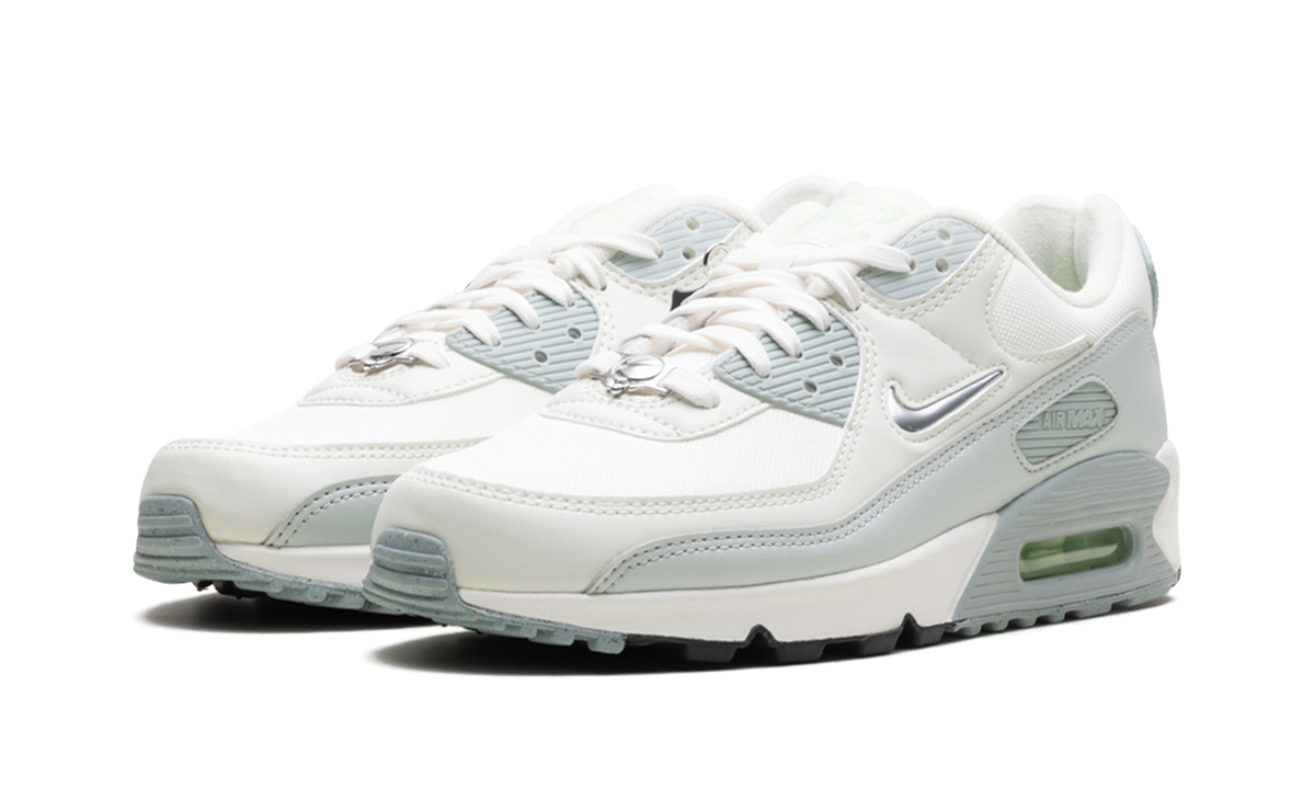Air Max 90 WMNS "Silver" FN6948-100