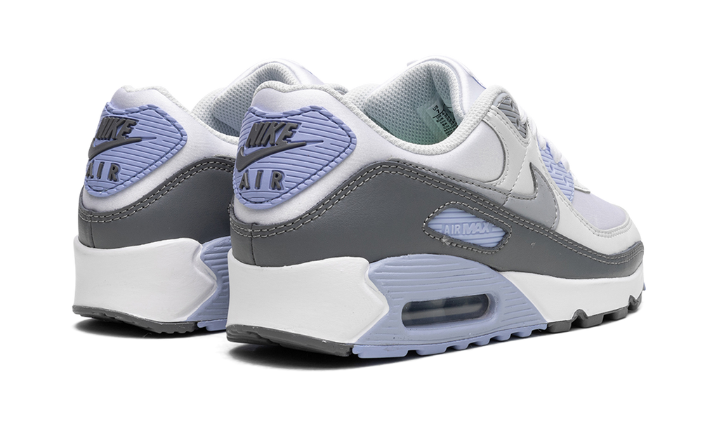 AIR MAX 90 WMNS "Cobalt Bliss" FB8570 100